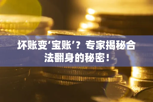 武汉坏账变‘宝账’？专家揭秘合法翻身的秘密！