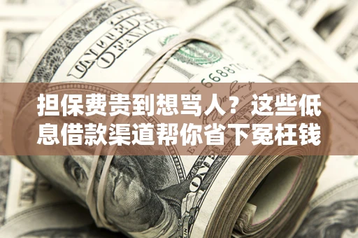 武汉担保费贵到想骂人？这些低息借款渠道帮你省下冤枉钱