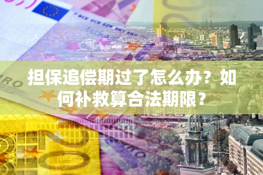 武汉担保追偿期过了怎么办？如何补救算合法期限？