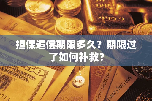 武汉担保追偿期限多久？期限过了如何补救？
