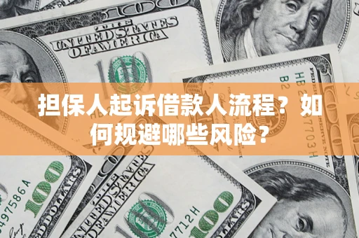 武汉担保人起诉借款人流程？如何规避哪些风险？