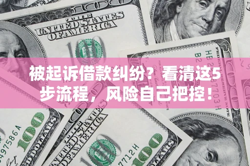 武汉被起诉借款纠纷？看清这5步流程，风险自己把控！