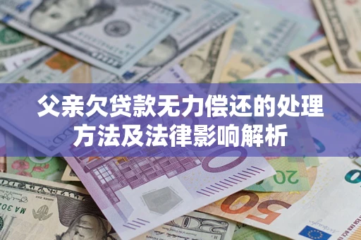 武汉父亲欠贷款无力偿还的处理方法及法律影响解析