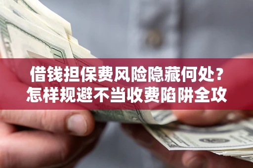 武汉借钱担保费风险隐藏何处？怎样规避不当收费陷阱全攻略！