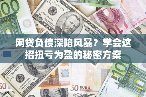 武汉网贷负债深陷风暴？学会这招扭亏为盈的秘密方案